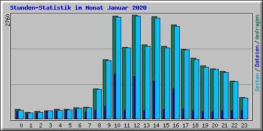 Stunden-Statistik im Monat Januar 2020