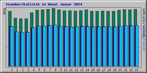Stunden-Statistik im Monat Januar 2024